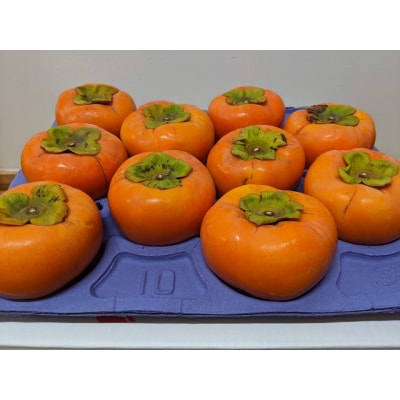 贈答用富有柿 3Lサイズ10個 約3.3kg 発祥の地岐阜県瑞穂市産