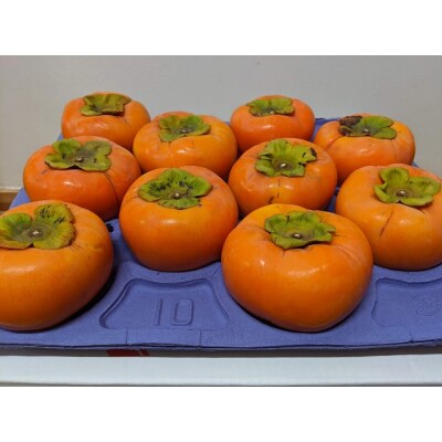 贈答用富有柿 3Lサイズ10個 約3.3kg 発祥の地岐阜県瑞穂市産