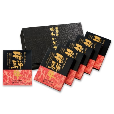飛騨牛ビーフカレー6個セット H-70C