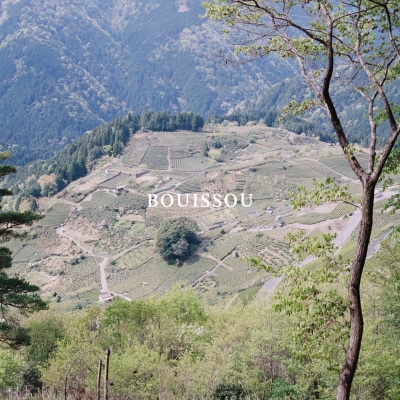 BOUISSOU -ブイス-  ザ・バーム & 粉末緑茶セット