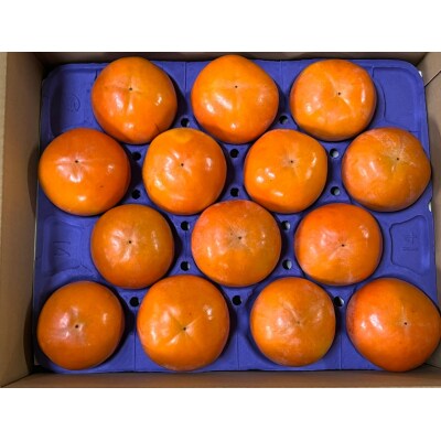 富有柿(岐阜の高糖度甘柿)14個(約3.5kg)