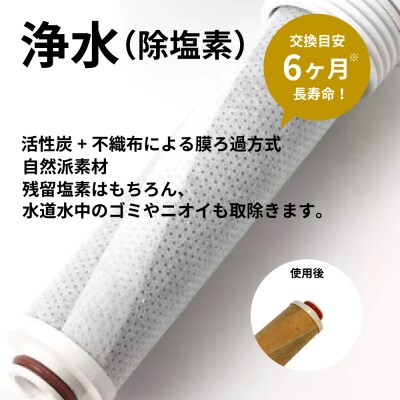 浄水×ナノバブル シャワーヘッド バブリージョワー2.0/JS23W 水生活製作所