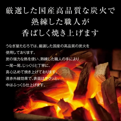 たむろ極 めすうなぎ艶鰻 白焼2尾