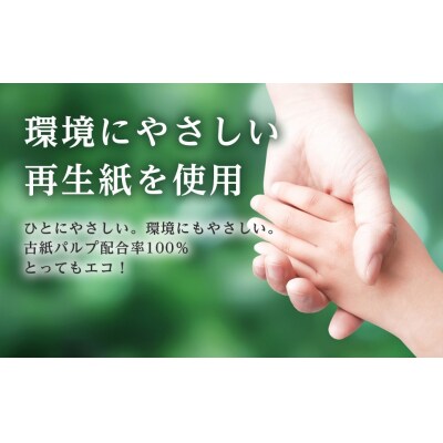 河村製紙 再生紙100% ブルーネット トイレットペーパー ダブル 12Rx4パック