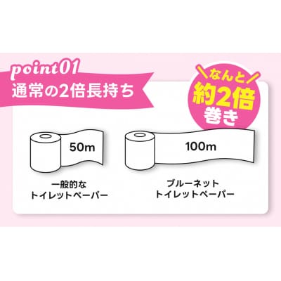 河村製紙 再生紙100% ブルーネット シングル 2倍長持ち 1Rx100