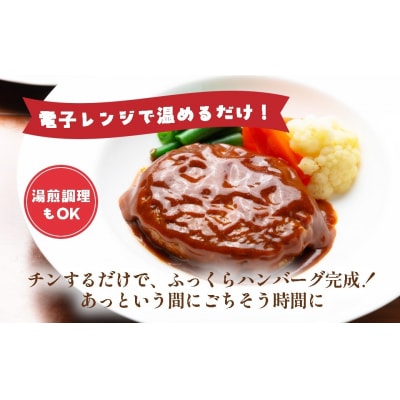 飛騨高山牧場 デミグラスハンバーグ 150g 5個