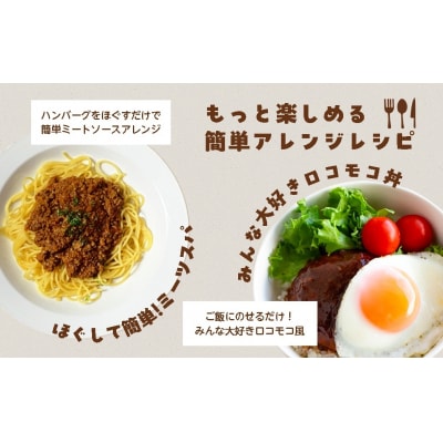 飛騨高山牧場 デミグラスハンバーグ 150g 5個