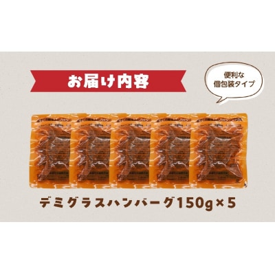 飛騨高山牧場 デミグラスハンバーグ 150g 5個