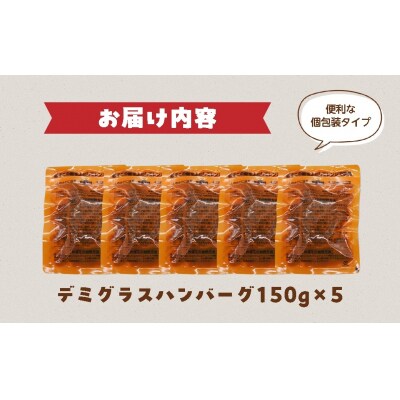 飛騨高山牧場の工場で作った デミグラスハンバーグ 150g 5個