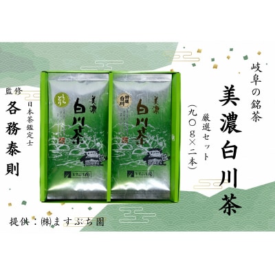 [岐阜の銘茶]美濃白川茶厳選セット(2袋入り)