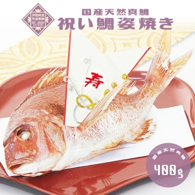 祝い鯛姿焼き 国産天然鯛