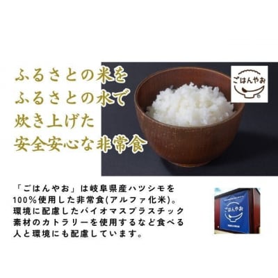 炊かなくていいお米とごはんやおセットB GPF-03