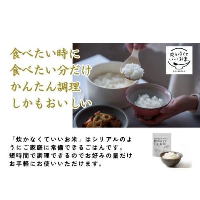 炊かなくていいお米とごはんやおセットF GPF-08