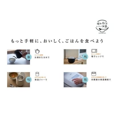 炊かなくていいお米 10袋セット GPF-11