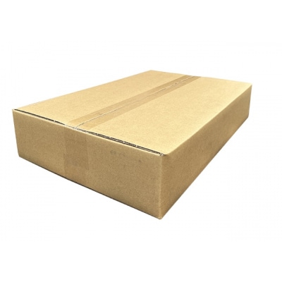 100サイズ 段ボール 10枚 横長