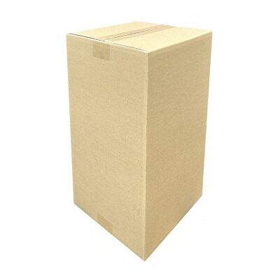 100サイズ 段ボール 10枚 縦型