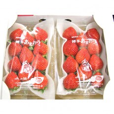 福岡県産いちご「あまおう」2パック(約270g×2)(みやこ町) | ふるさと納税のお礼品