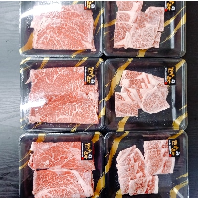 博多和牛　すき焼き用もも&焼肉用肩ロース 2種セット (計約900g)【みやこ町】