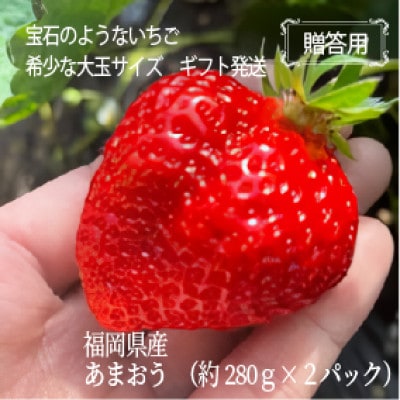 【贈答用】ギフト箱入り 福岡県産 大粒あまおう  約560g(約280g×2パック)