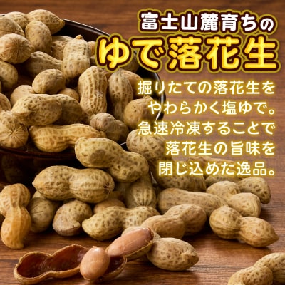 富士名物 ゆで落花生 富士山麓育ち 冷凍 ご当地人気お土産 2種×2パック 4袋セット(1047)