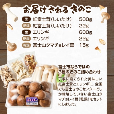 富士山タマチョレイ茸・紅富士茸(椎茸)・エリンギ「美味しいきのこセット」 [sf002-006]