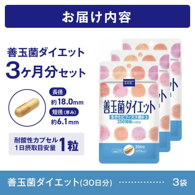 DHC 善玉菌ダイエット30日分 3ヶ月分セット(a1354)