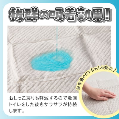 1398炭プレミアムペットシーツW(ワイド) [sf020-002]