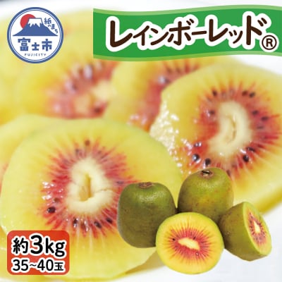 キウイフルーツ(レインボーレッド)3kg [1010] [sf001-007]