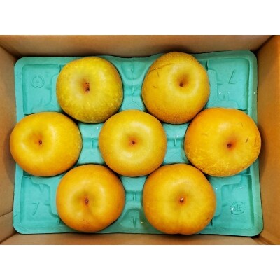 富士梨3kg 1016 お礼品詳細 ふるさと納税なら さとふる