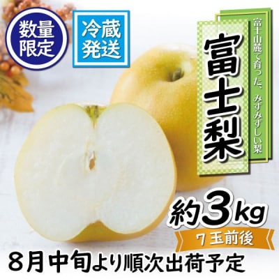 富士梨3kg 数量限定 希少(a1016)