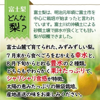 富士梨3kg 数量限定 希少