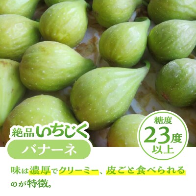 朝採り逸品いちじく(マスイドーフィン2パック&バナーネ2パック)(a1014)