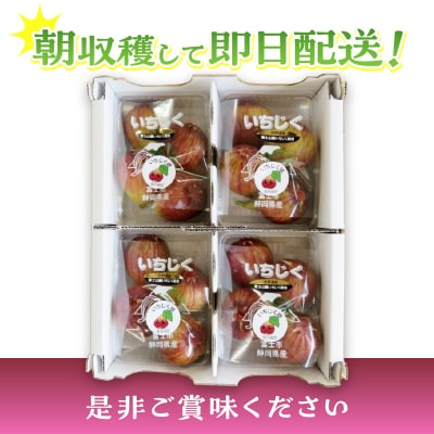 朝採り逸品いちじく(マスイドーフィン4パック)(a1212)