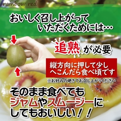 キウイフルーツ(レインボーレッド(R))2kg