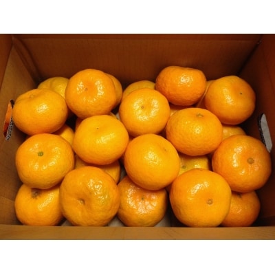 みかん早香5kg(1218)