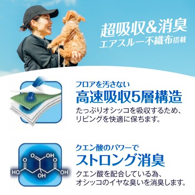 ネオシーツセレブ ペットシーツ ワイド 40枚入×4袋 高速シャットアウト吸収 sf002-147