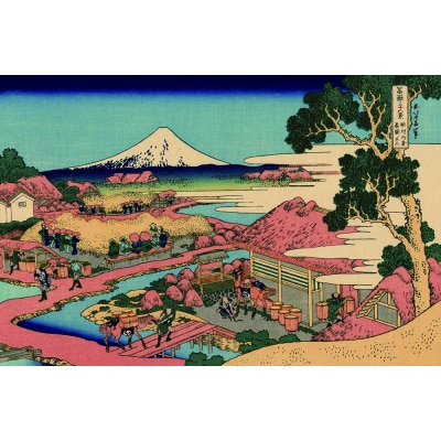 富士の魅力を「知る」～いただきへの・はじまり　富士市～B(1259)