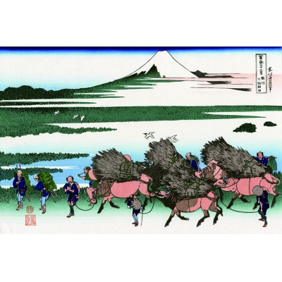 富士の魅力を「知る」～いただきへの・はじまり　富士市～B(1259)