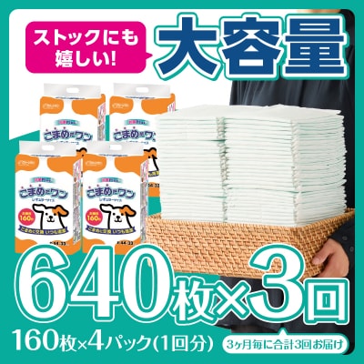 定期便 年3回 ペットシート こまめだワン レギュラー 160枚×4パック [sf002-278]