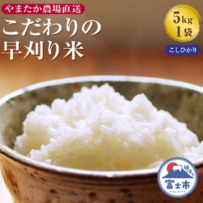 【令和7年産】やまたか農場直送 こだわりの早刈り米 コシヒカリ 5kg×1袋 (1817)