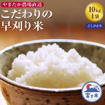 【令和7年産】やまたか農場直送 こだわりの早刈り米コシヒカリ 10kg×1袋(1818)