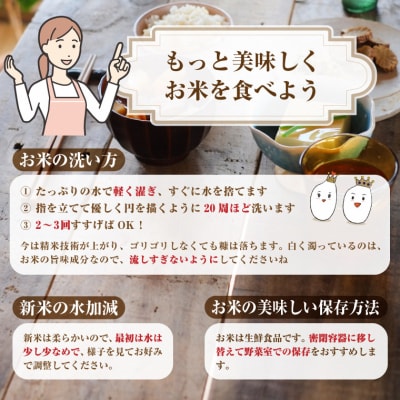 【令和7年産 先行予約】 早刈り米 コシヒカリ2kg+ミルキークイーン2kgセット(1821)