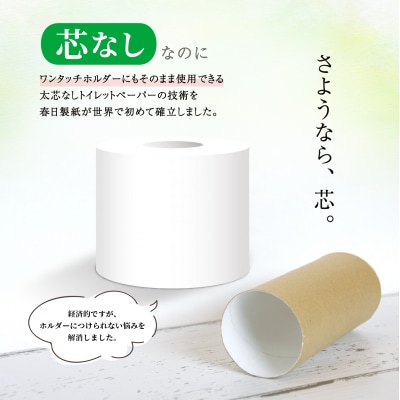 163ロール相当 トイレットペーパー シングル 48ロール 3.4倍巻き コア・ユース 日用品