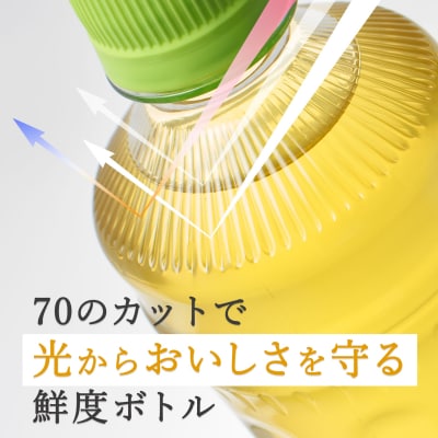[定期便3回]お～いお茶緑茶PET600ml(1907)