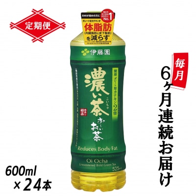 [定期便6回]お～いお茶濃い茶PET600ml(1910)