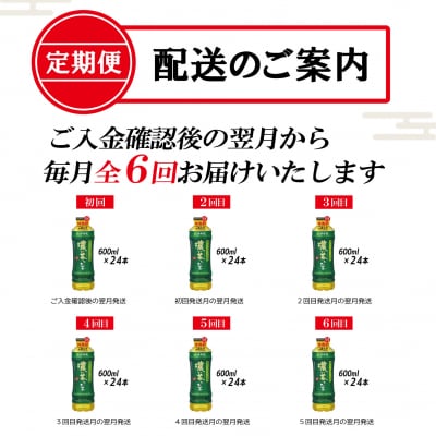 [定期便6回]お～いお茶濃い茶PET600ml(1910)