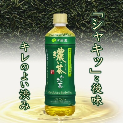 [定期便6回]お～いお茶濃い茶PET600ml(1910)