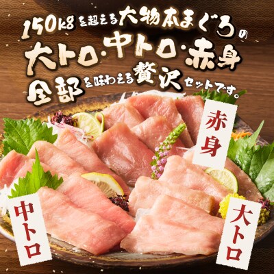 駿河屋賀兵衛　本まぐろ尽くしセット(2人前)(1984)