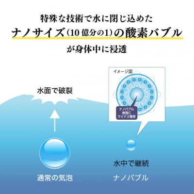 定期便【全12回】富士登山水500ml×24本(1箱)×12ヶ月