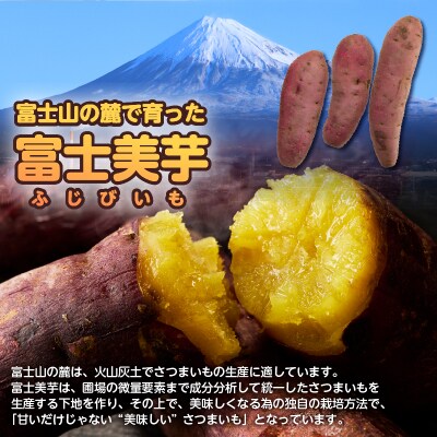 【先行受付】富士美芋 生1.7Kg さつまいも 甘い 期間限定 富士市  [sf070-001]